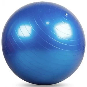 Wealis Fitness Ball – Stability Ball for Full Body Training