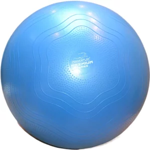 Fitness Ball PowerPlay 4000 (65 cm) with Pump
